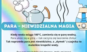 Ilustracja pokazuje czajnik z parującą wodą i nawilżacz powietrza, wyjaśniając stany skupienia wody, w tym parę wodną.