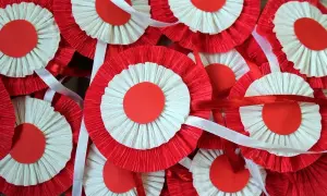 Mnóstwo biało-czerwonych kotylionów z papieru marszczonego, ozdobionych wstążkami, gotowych na świętowanie.