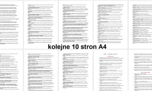 Przykładowe wpisy do dziennika zajęć rewalidacyjnych: ćwiczenia, projekty, zabawy. Rozwój umiejętności komunikacyjnych, logicznego myślenia i kreatywności.