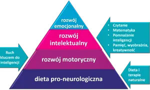 Piramida rozwoju: dieta, ruch, rozwój motoryczny, intelektualny i emocjonalny. Kluczem do inteligencji jest ruch, a sprawczość buduje się na fundamencie zdrowia.