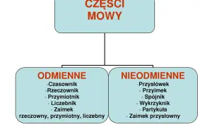 Schemat przedstawia części mowy, dzieląc je na odmienne (czasownik, rzeczownik, przymiotnik, liczebnik, zaimek) i nieodmienne (przysłówek, przyimek, spójnik, wykrzyknik, partykuła, zaimek przysłowny).