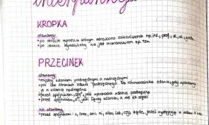 Notatki o interpunkcji: kropka po skrótach, przecinek między zdaniami podrzędnymi i nadrzędnymi, a także przed niektórymi spójnikami.