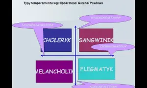 Diagram typów temperamentu: choleryk, sangwinik, melancholik, flegmatyk. Oś pionowa: reaktywność, pozioma: introwertyk/ekstrawertyk.