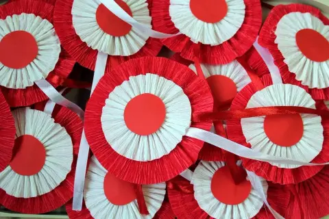 Mnóstwo biało-czerwonych kotylionów z papieru marszczonego, ozdobionych wstążkami, gotowych na świętowanie.