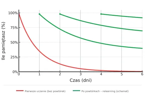 Pokonaj krzywą zapominania! Skuteczne metody trwałego zapamiętywania.