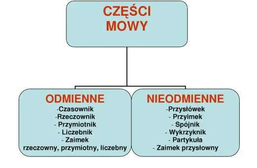 Schemat przedstawia części mowy, dzieląc je na odmienne (czasownik, rzeczownik, przymiotnik, liczebnik, zaimek) i nieodmienne (przysłówek, przyimek, spójnik, wykrzyknik, partykuła, zaimek przysłowny).