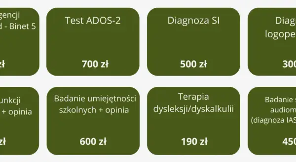 Diagnoza dysleksji: Ile wizyt? Jak długo czekać na opinię?