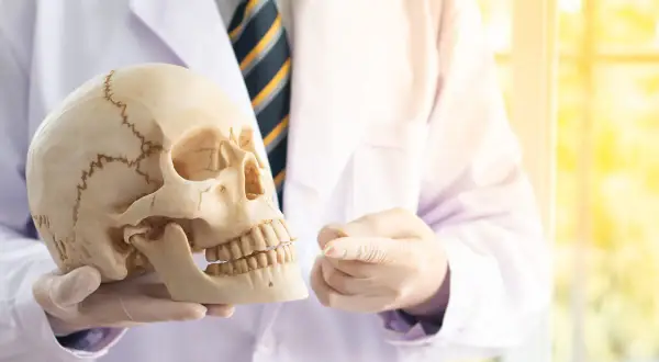 Jak uczyć się anatomii? Opanuj ją mądrze, nie ciężej!