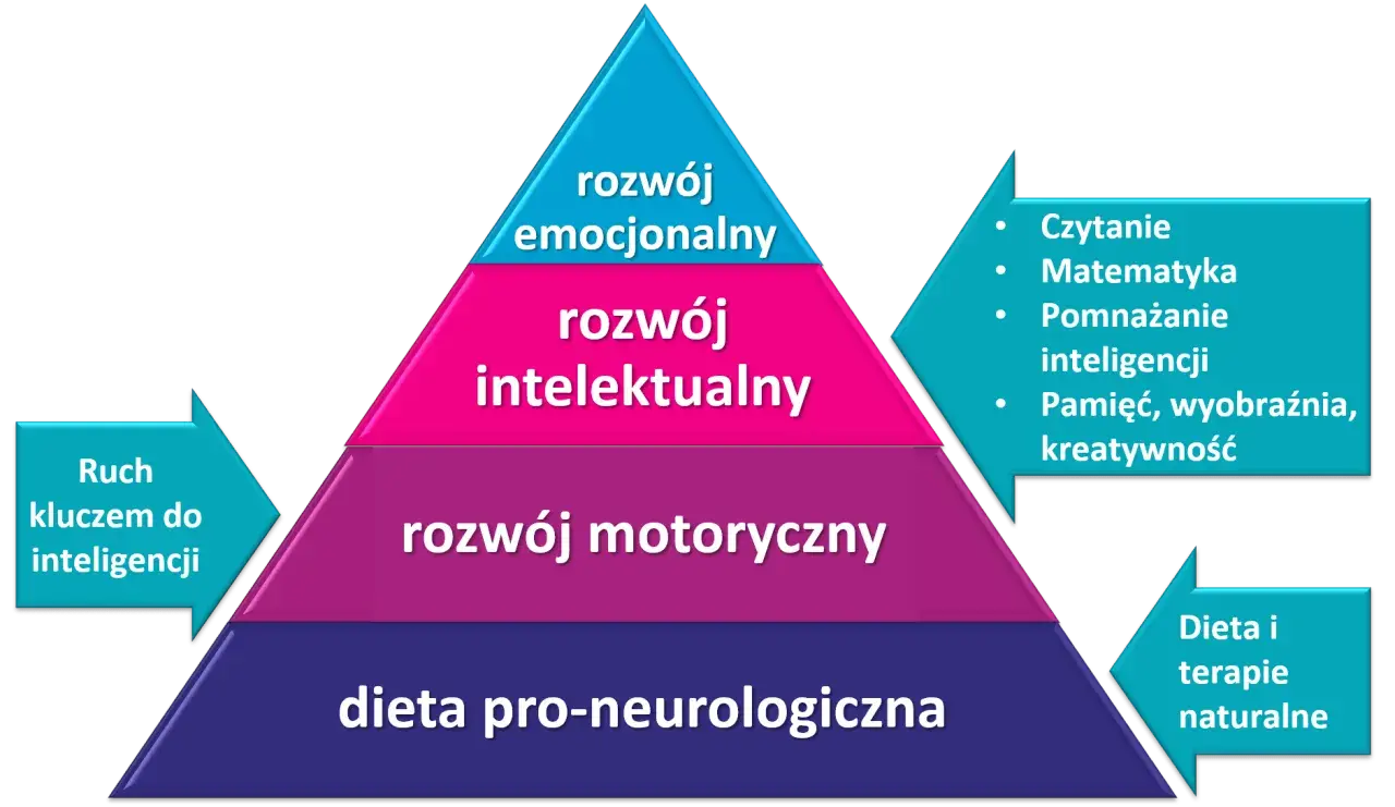 Piramida rozwoju: dieta, ruch, rozwój motoryczny, intelektualny i emocjonalny. Kluczem do inteligencji jest ruch, a sprawczość buduje się na fundamencie zdrowia.