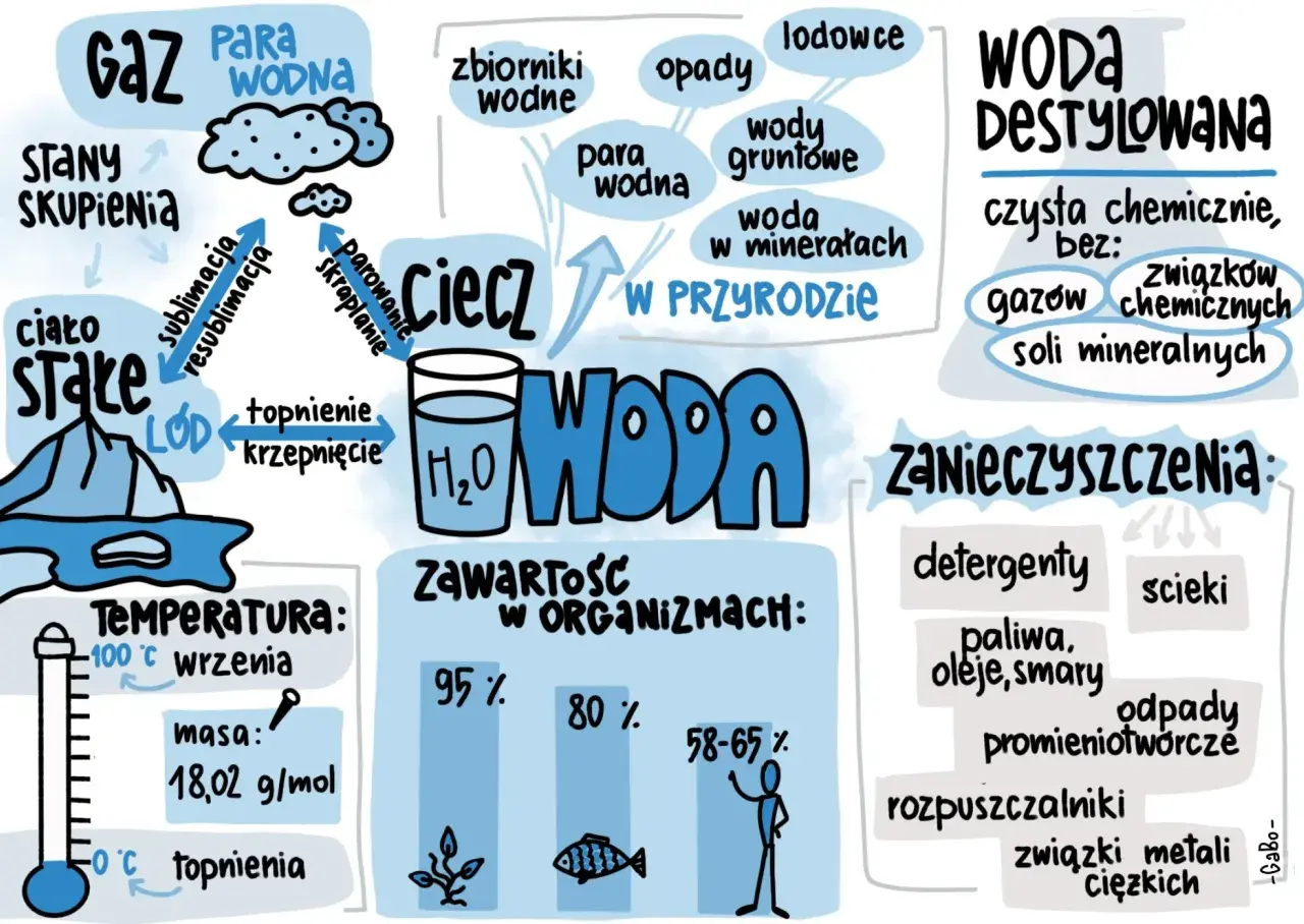 Sketchnoting o wodzie: stany skupienia, cykl w przyrodzie, zawartość w organizmach, zanieczyszczenia i woda destylowana.