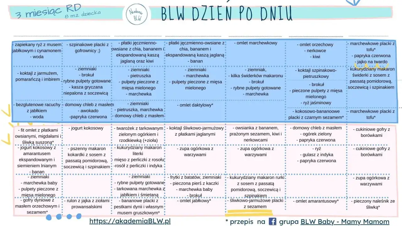 Przykładowy jadłospis dla dzieci 10-12 lat: placki marchewkowe z tofu, papryka, jajko na twardo, makaron z sosem.