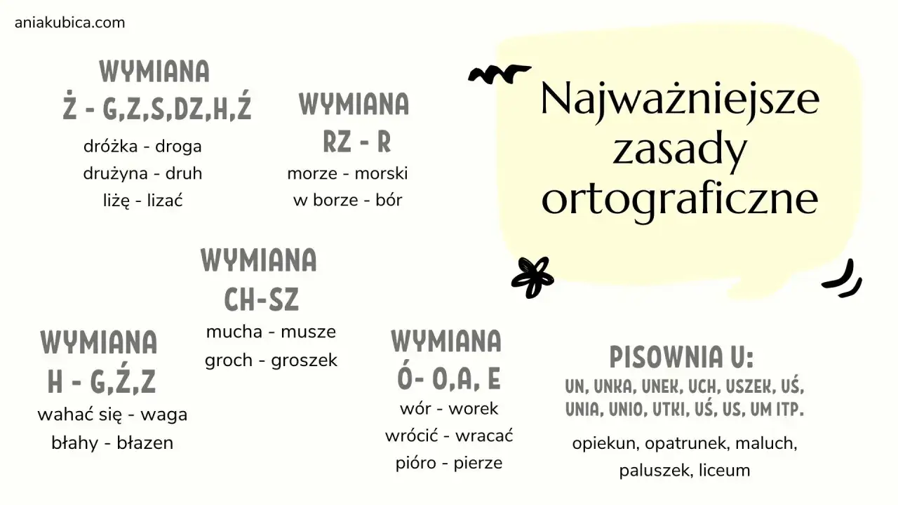 Najważniejsze zasady ortograficzne: wymiany liter (ż-g, rz-r, ch-sz, h-g, ó-o) i pisownia
