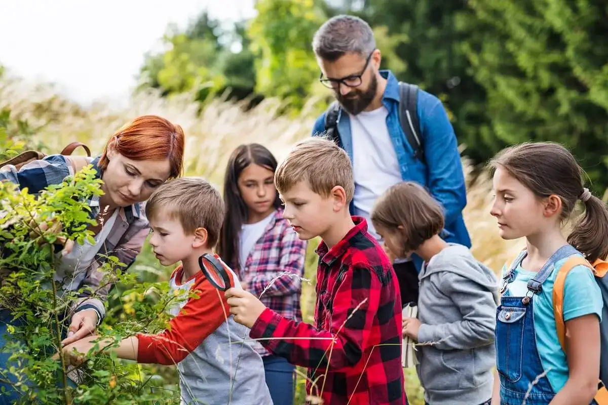 Grupa dzieci z wychowawcą i kierownikiem obozu bada rośliny. Czy kierownik obozu może być wychowawcą? Tak, gdy wspólnie z dziećmi odkrywa przyrodę.