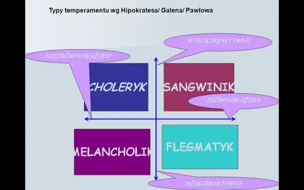 Diagram typów temperamentu: choleryk, sangwinik, melancholik, flegmatyk. Oś pionowa: reaktywność, pozioma: introwertyk/ekstrawertyk.